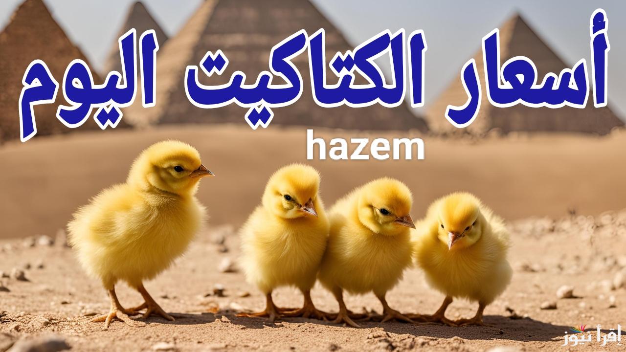 الأسعار في ارتفاع مستمر.. أسعار الكتاكيت اليوم الثلاثاء 18 فبراير 2025 في المزارع والمعامل المصرية