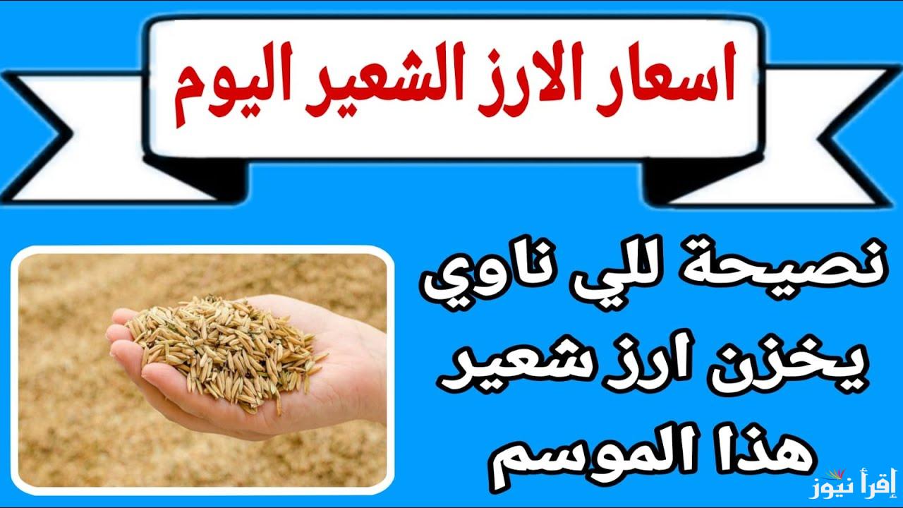 مفيش نزول خلاص.. إرتفاع سعر طن الأرز الشعير اليوم في مصر 2025 قبل رمضان