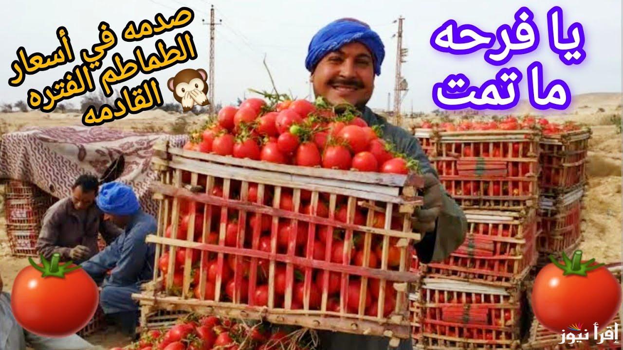 لتخفيف الاعباء.. وزارة التموين تعلن إنخفاض أسعار الطماطم اليوم الخميس 13 فبراير 2025 في الأسواق المصرية 