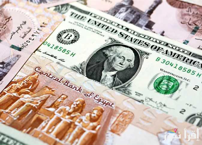 انهيار الأخضر .. سعر الدولار اليوم مقابل الجنيه المصري الثلاثاء 4 فبراير 2025 داخل البنوك المصرية المختلفة