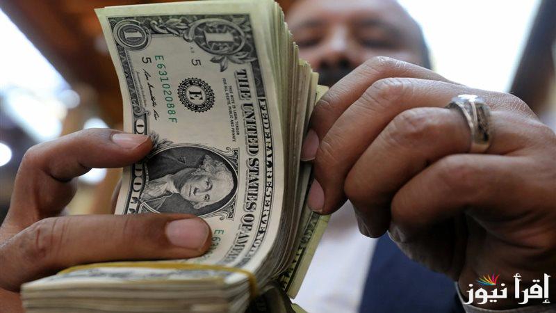 الـــ  usd مقابل egp …سعر الدولار في السوق السوداء اليوم الخميس 6 فبراير 2025 والبنوك المصرفية التجارية والحكومية