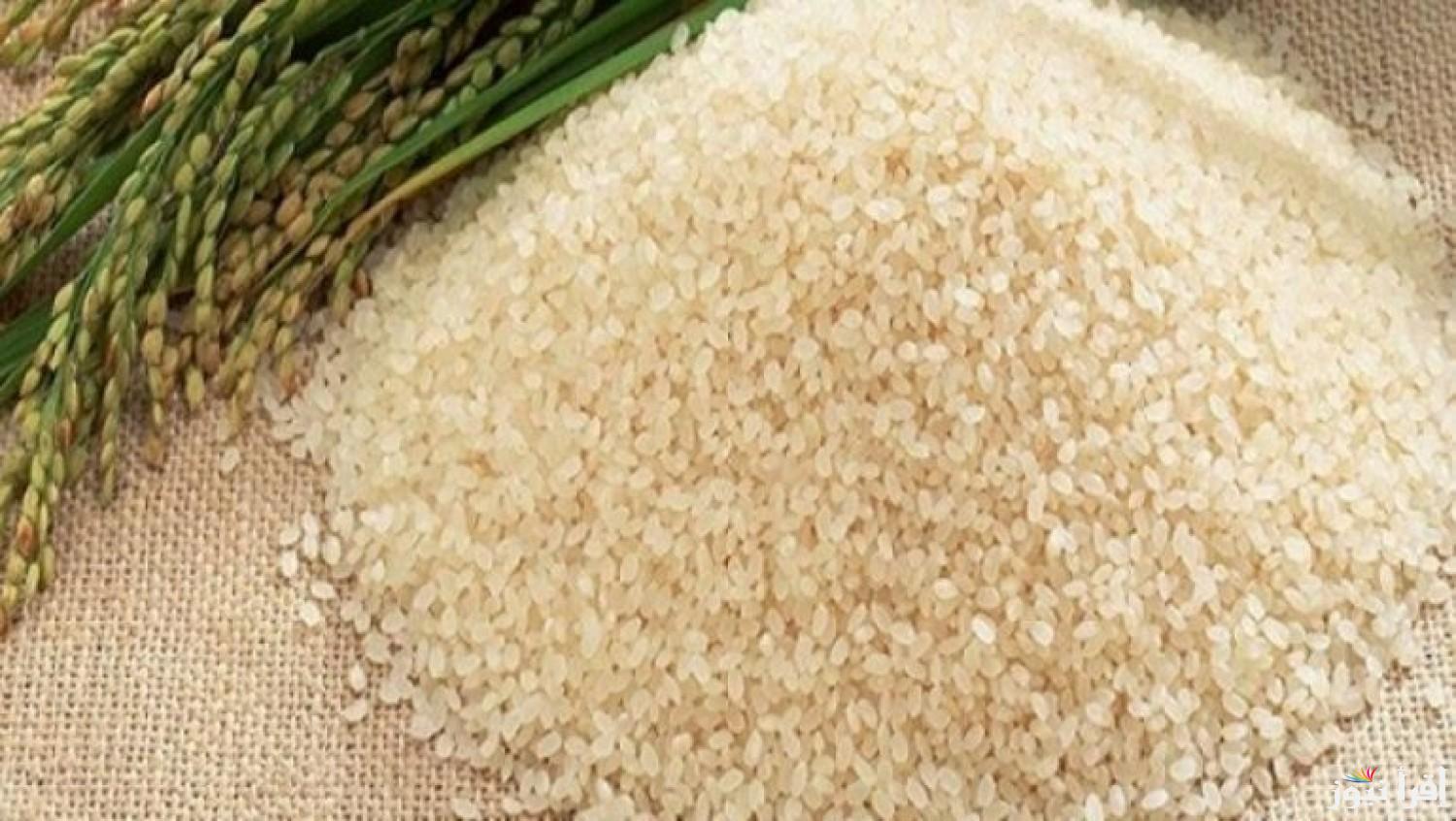 الحبـــة الــرفيــعة بكــام!! .. سعر طن الارز الشعير و الأبيض اليوم في مصر الأسواق وتراجع يصل إلى 10% 