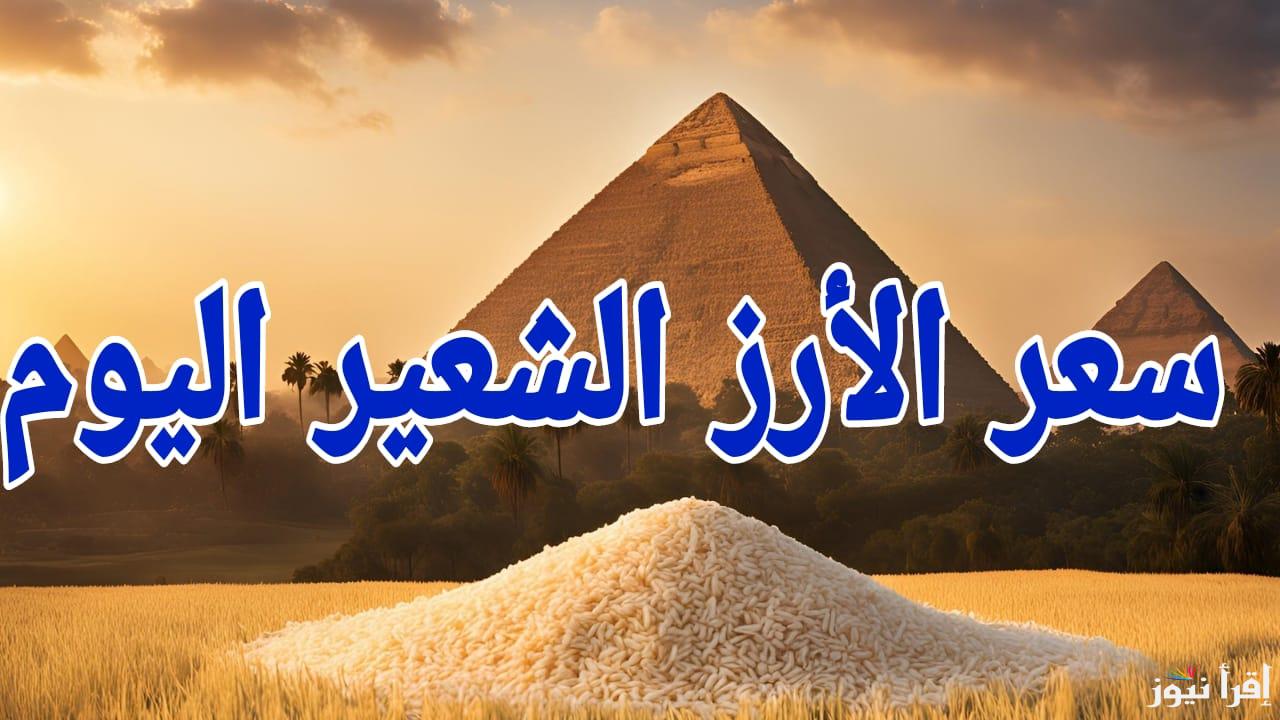 بكام في نصف رمضان.. سعر طن الأرز الشعير الان السبت 15 مارس 2025 في مصر 