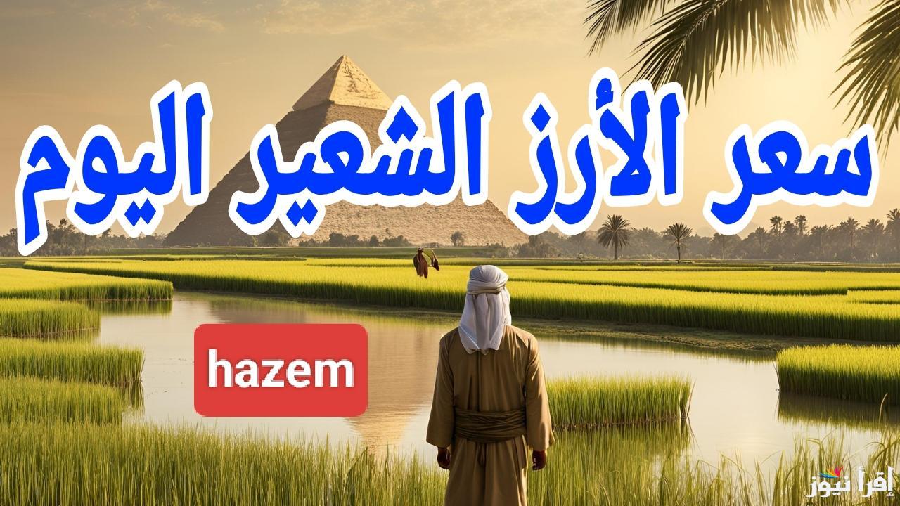 البلدي نزل.. سعر الارز الشعير اليوم الاثنين 10 مارس 2025 في مصر 