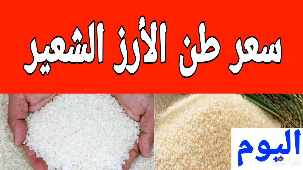 الأسعار خلت التجار في صدمة.. سعر طن الأرز الشعير الان الجمعة 14 مارس 2025 في مصر 