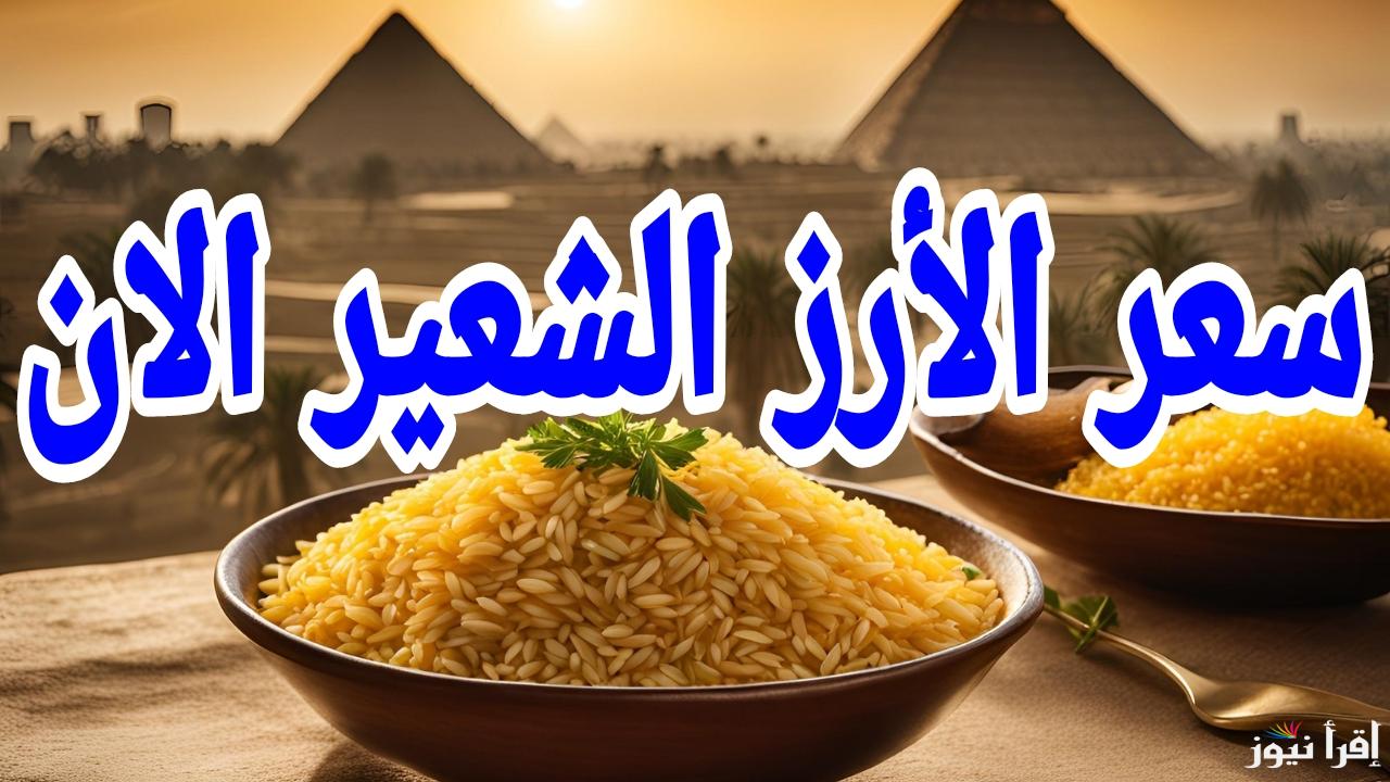 احذر من التقلبات.. سعر طن الارز الشعير اليوم الاحد 9 مارس 2025 في مصر 