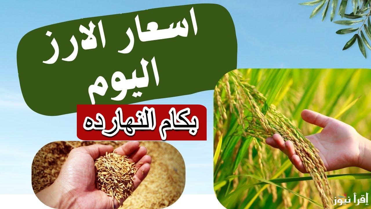 مش هتصدق بكام.. سعر طن الارز الشعير اليوم الجمعة 14 مارس 2025 في مصر 