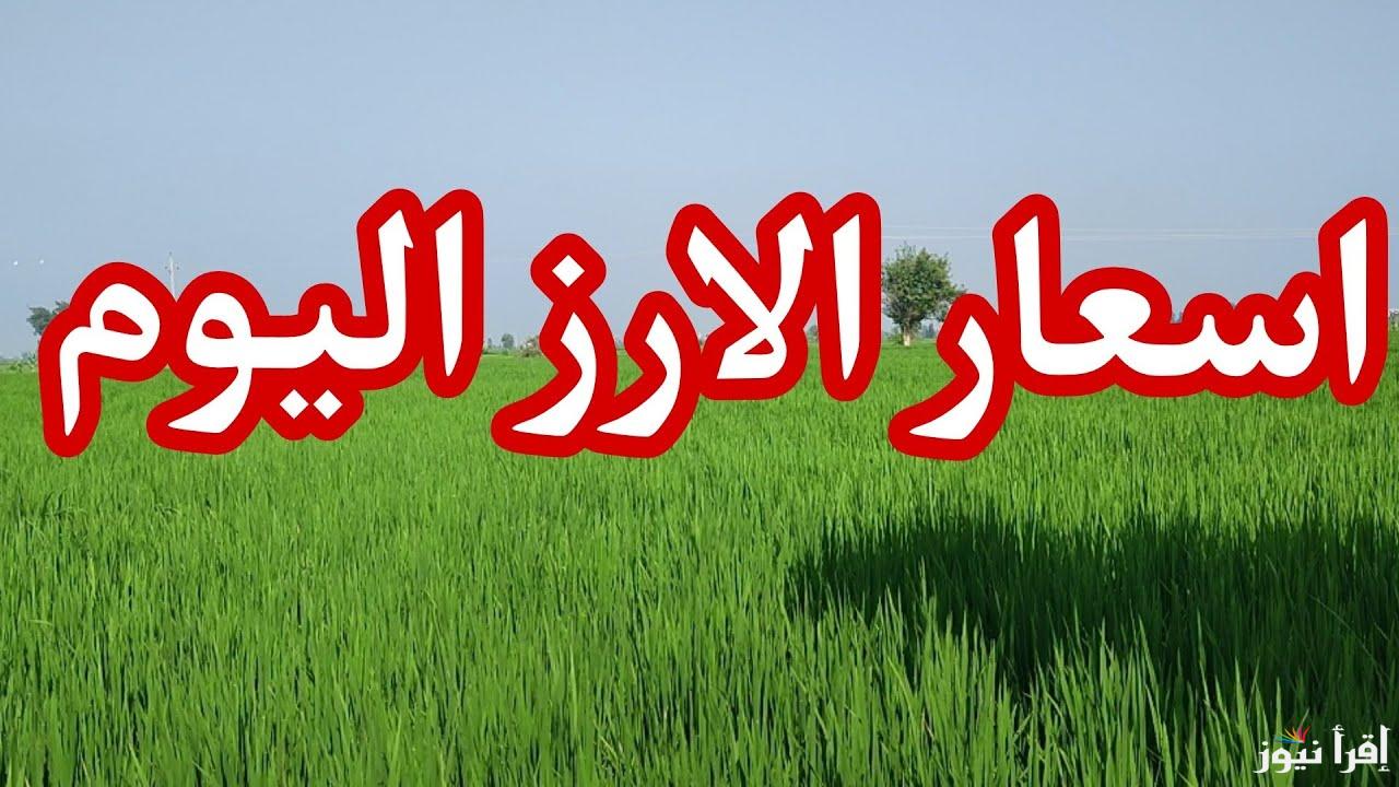 سعر طن الأرز الشعير اليوم  الاثنين 14 أبريل 2025 في الأسواق المصرية