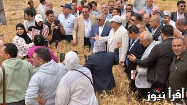 بدء حصاد القمح في محافظة الدقهلية لموسم 2025  
تفاصيل