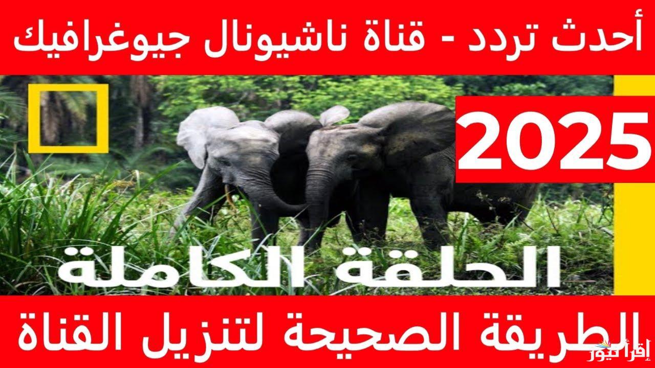 National Geographic تردد ناشيونال جيوغرافيك على نايل سات الجديد 2025 وخطوات تنزيل القناة