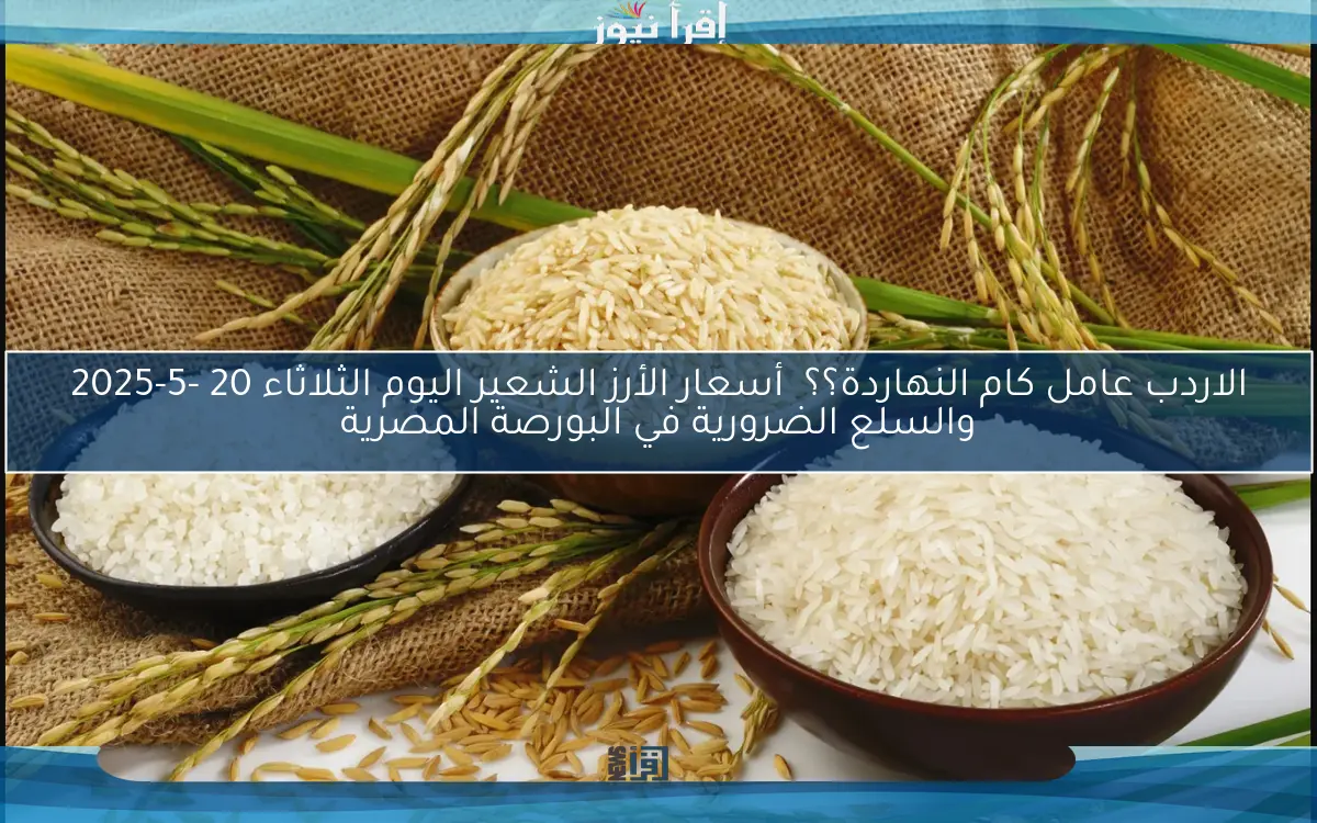 الاردب عامل كام النهاردة؟؟  أسعار الأرز الشعير اليوم الثلاثاء 20 -5-2025 والسلع الضرورية في البورصة المصرية