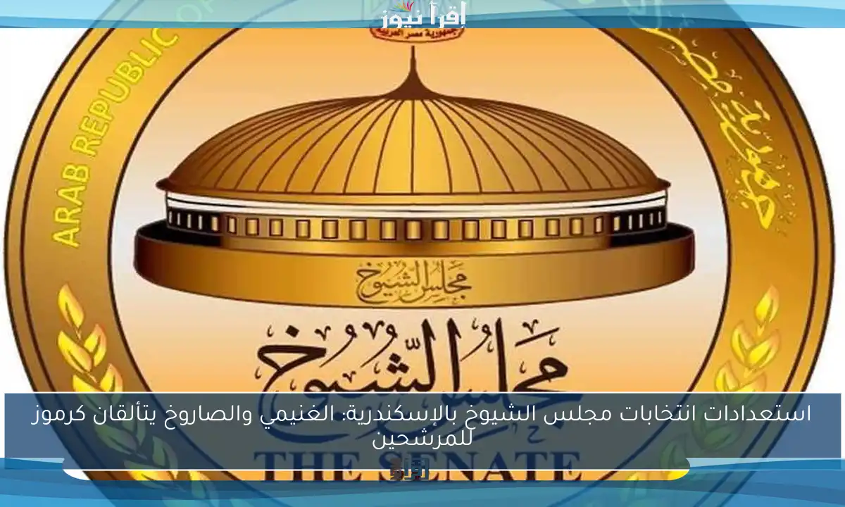 استعدادات انتخابات مجلس الشيوخ بالإسكندرية: الغنيمي والصاروخ يتألقان كرموز للمرشحين