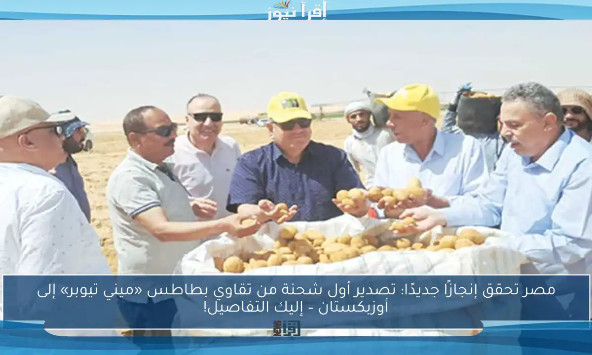 مصر تحقق إنجازًا جديدًا: تصدير أول شحنة من تقاوي بطاطس «ميني تيوبر» إلى أوزبكستان – إليك التفاصيل!