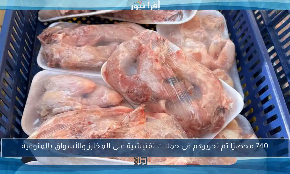 740 محضرًا تم تحريرهم في حملات تفتيشية على المخابز والأسواق بالمنوفية