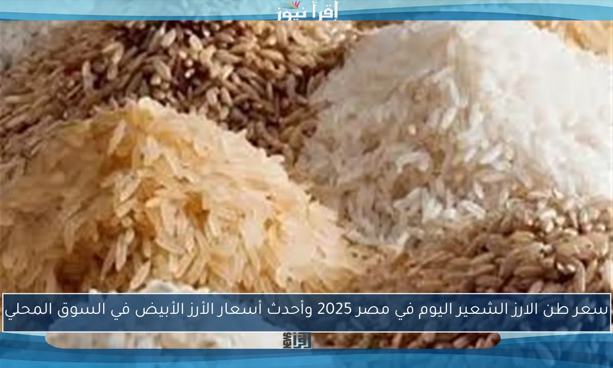 سعر طن الارز الشعير اليوم في مصر 2025 وأحدث أسعار الأرز الأبيض في السوق المحلي
