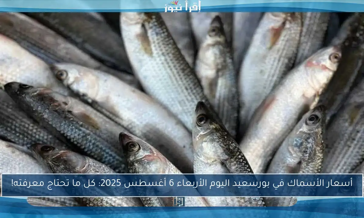 أسعار الأسماك في بورسعيد اليوم الأربعاء 6 أغسطس 2025: كل ما تحتاج معرفته!