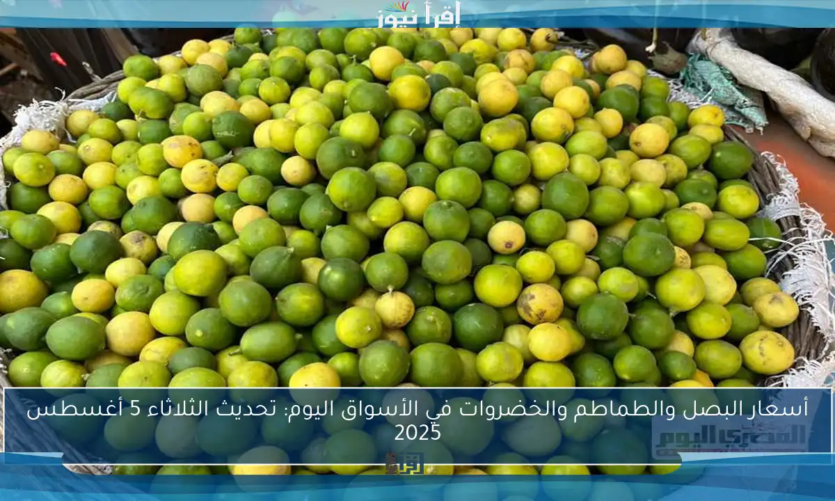 أسعار البصل والطماطم والخضروات في الأسواق اليوم: تحديث الثلاثاء 5 أغسطس 2025