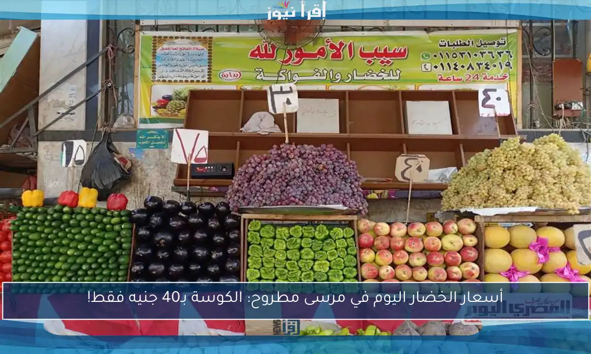 أسعار الخضار اليوم في مرسى مطروح: الكوسة بـ40 جنيه فقط!