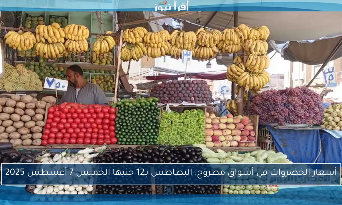 أسعار الخضروات في أسواق مطروح: البطاطس بـ12 جنيها الخميس 7 أغسطس 2025