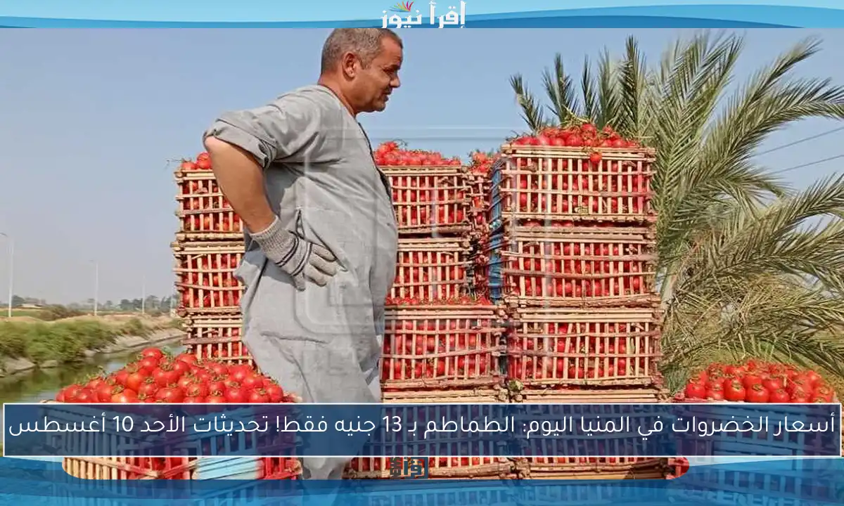 أسعار الخضروات في المنيا اليوم: الطماطم بـ 13 جنيه فقط! تحديثات الأحد 10 أغسطس