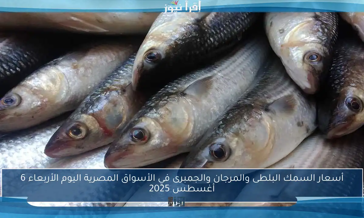 أسعار السمك البلطى والمرجان والجمبرى في الأسواق المصرية اليوم الأربعاء 6 أغسطس 2025