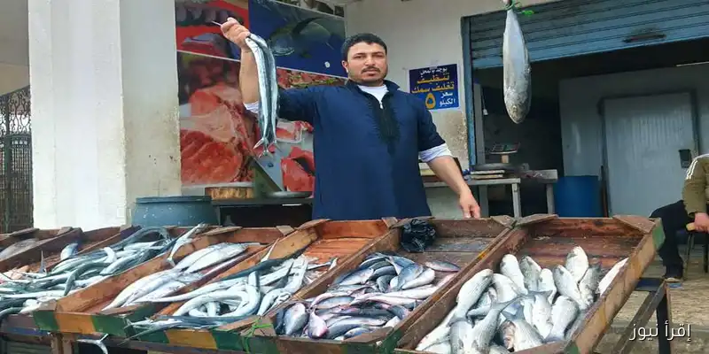 أسعار السمك البلطي والسردين والجمبري في الأسواق اليوم الأحد 31 أغسطس 2025: تعرف على أحدث المستجدات!