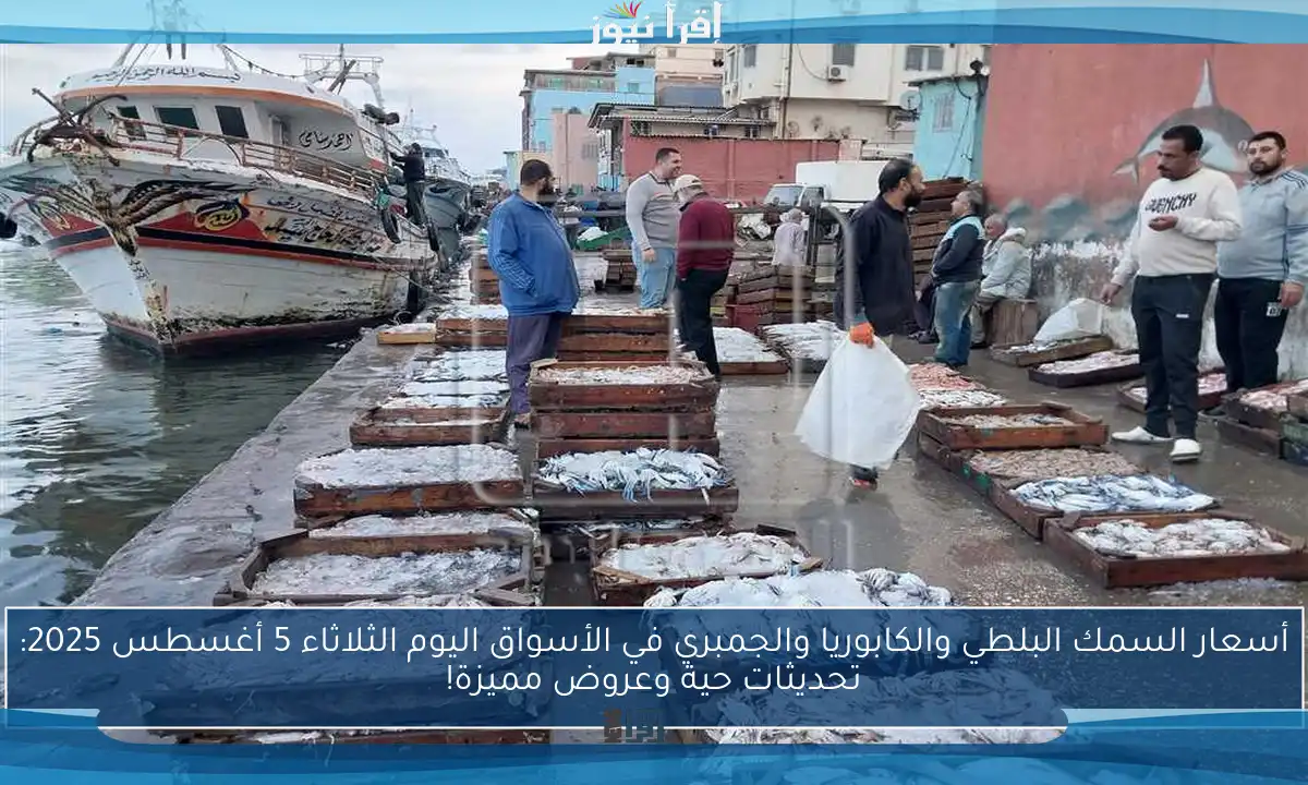 أسعار السمك البلطي والكابوريا والجمبري في الأسواق اليوم الثلاثاء 5 أغسطس 2025: تحديثات حية وعروض مميزة!