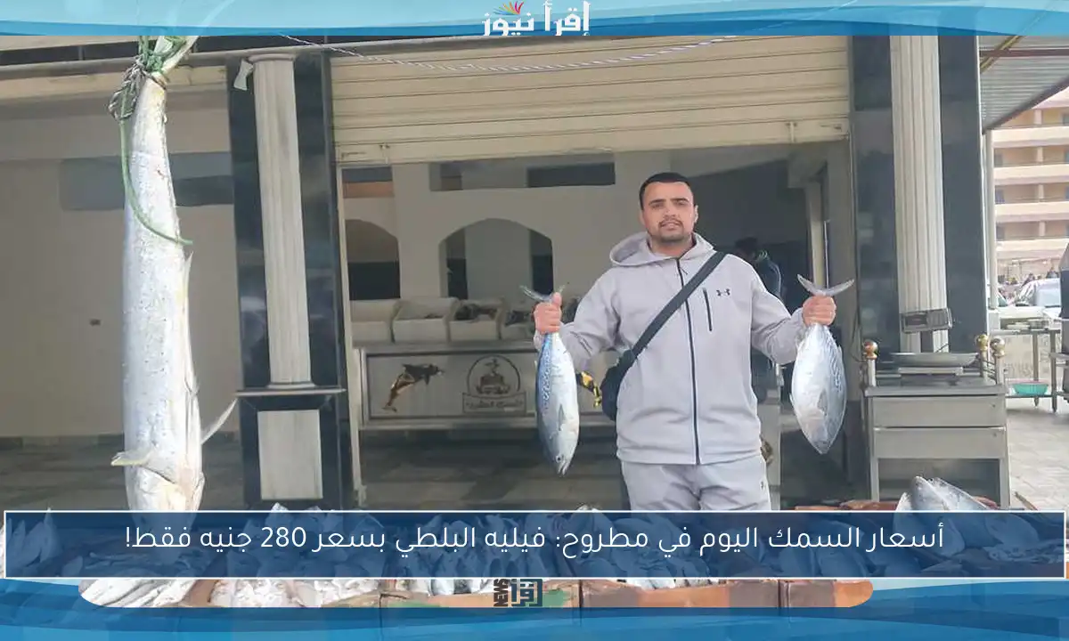 أسعار السمك اليوم في مطروح: فيليه البلطي بسعر 280 جنيه فقط!