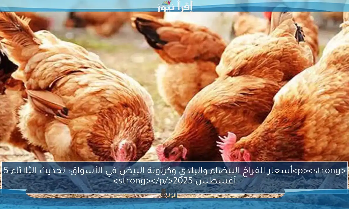 <p><strong>أسعار الفراخ البيضاء والبلدي وكرتونة البيض في الأسواق: تحديث الثلاثاء 5 أغسطس 2025</strong></p>
