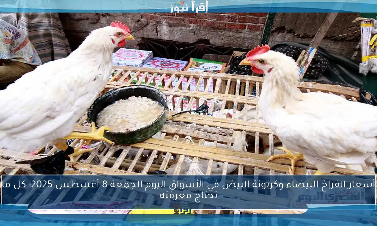 أسعار الفراخ البيضاء وكرتونة البيض في الأسواق اليوم الجمعة 8 أغسطس 2025: كل ما تحتاج معرفته