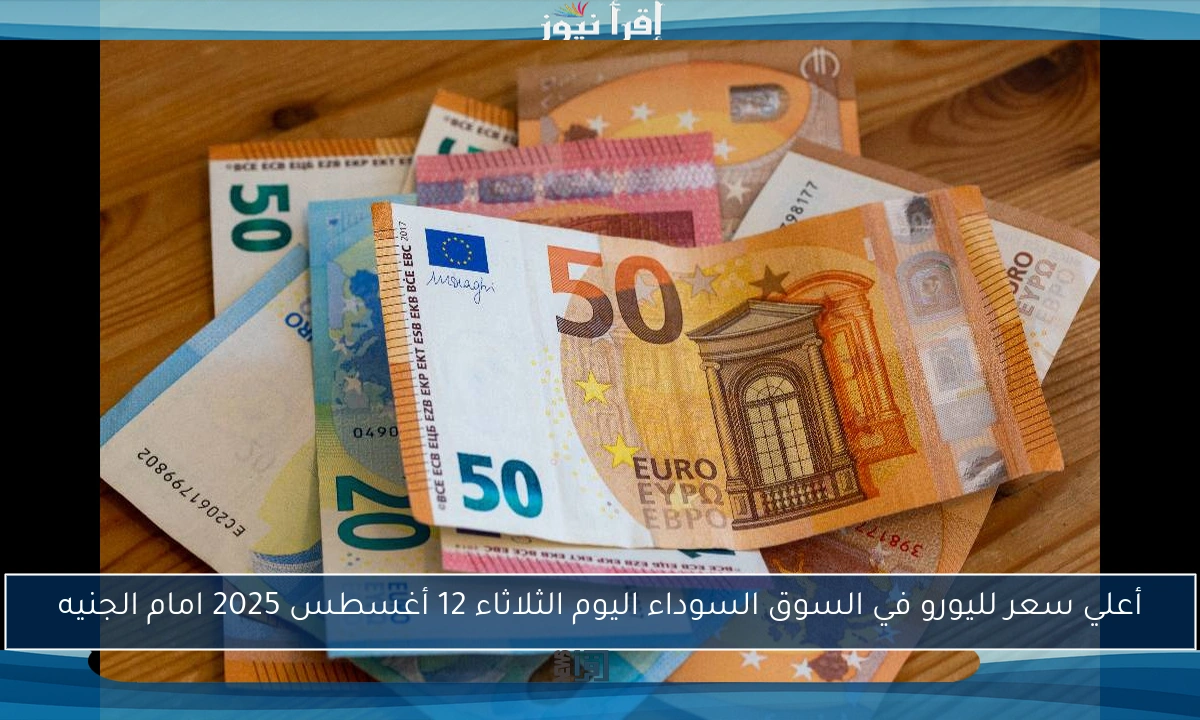 أعلي سعر لليورو في السوق السوداء اليوم الثلاثاء 12 أغسطس 2025 امام الجنيه