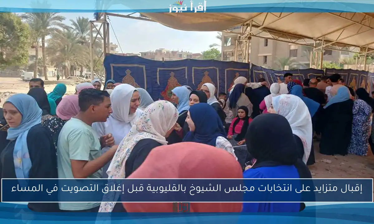 إقبال متزايد على انتخابات مجلس الشيوخ بالقليوبية قبل إغلاق التصويت في المساء