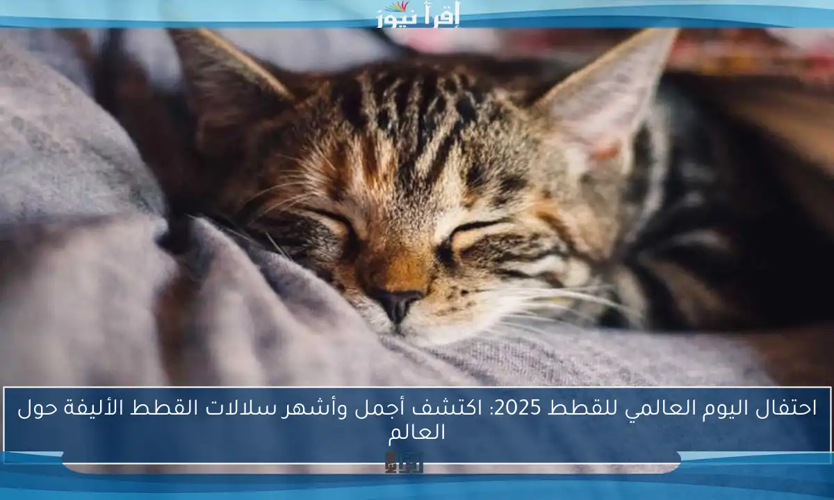 احتفال اليوم العالمي للقطط 2025: اكتشف أجمل وأشهر سلالات القطط الأليفة حول العالم
