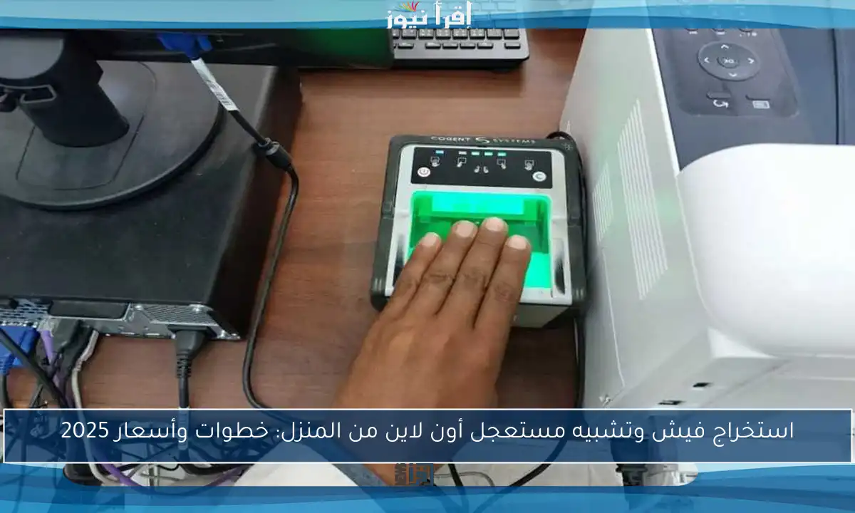 استخراج فيش وتشبيه مستعجل أون لاين من المنزل: خطوات وأسعار 2025