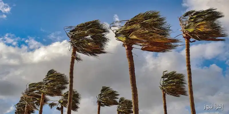 استعدوا لخريف مفعم بالأمطار: تفاصيل حالة الطقس غداً في القاهرة مع درجات حرارة تصل إلى 24 درجة
