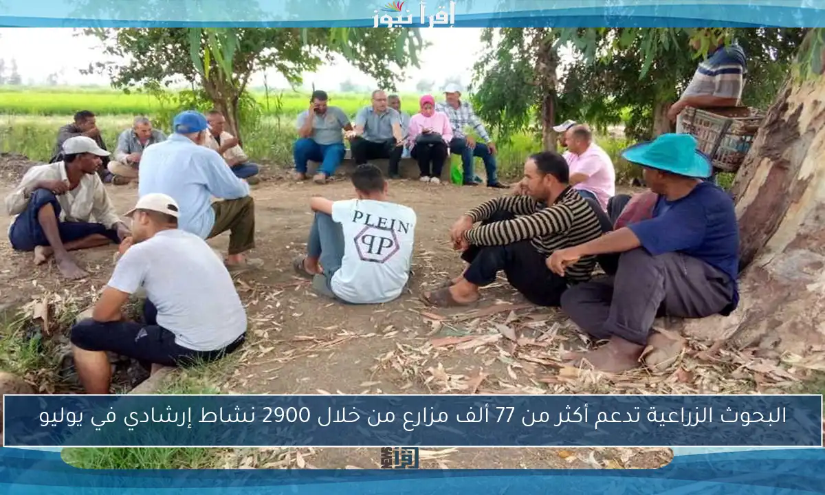 البحوث الزراعية تدعم أكثر من 77 ألف مزارع من خلال 2900 نشاط إرشادي في يوليو