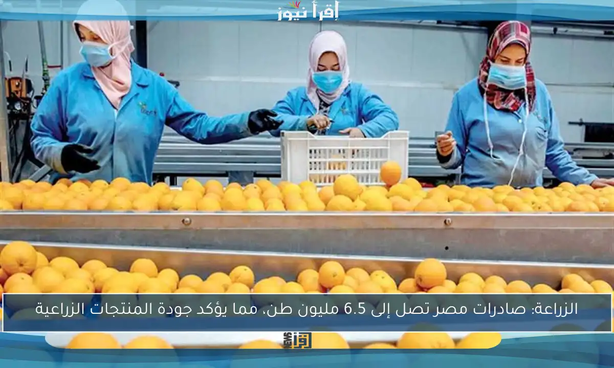 الزراعة: صادرات مصر تصل إلى 6.5 مليون طن، مما يؤكد جودة المنتجات الزراعية