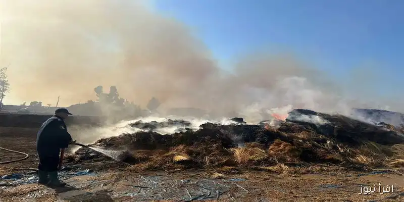 السيطرة على حريق ضخم في شونة كتان بالغربية بمساعدة 11 سيارة إطفاء