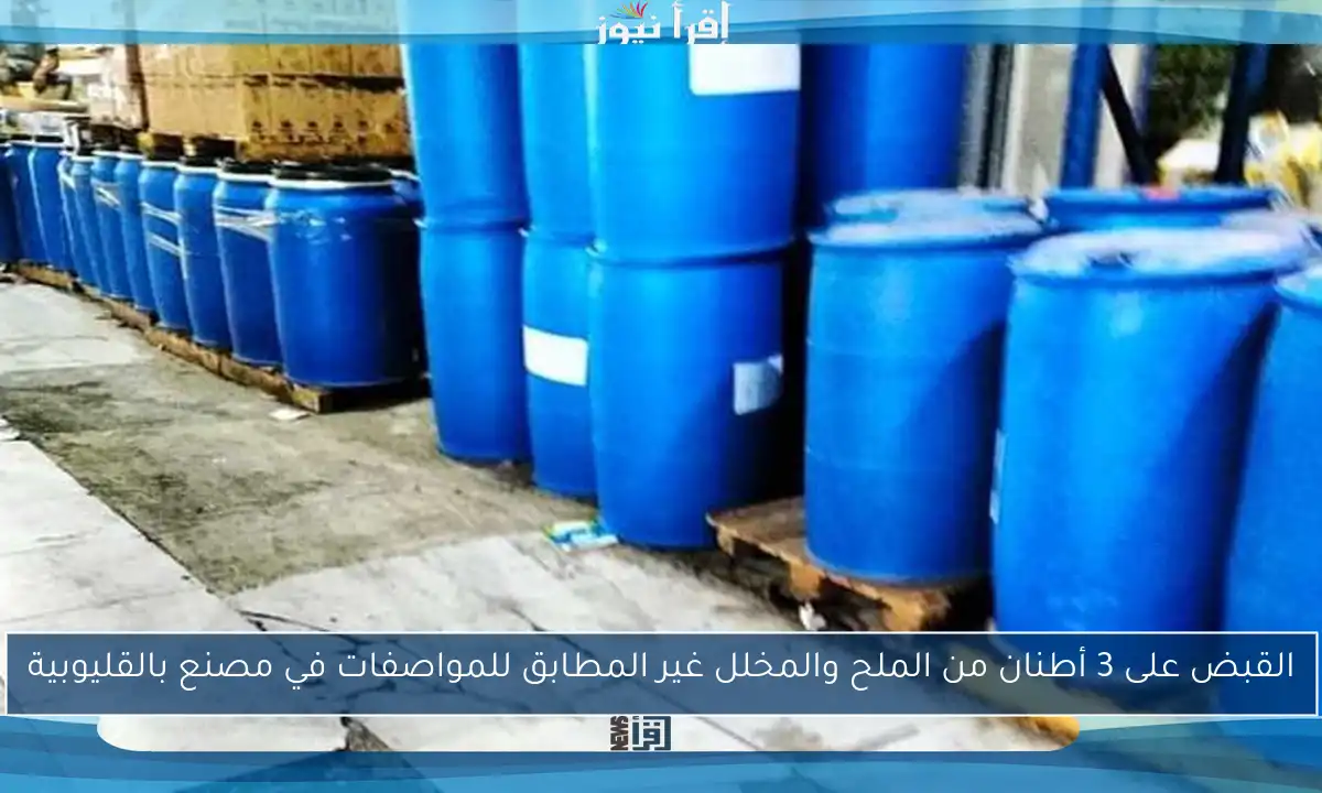 القبض على 3 أطنان من الملح والمخلل غير المطابق للمواصفات في مصنع بالقليوبية