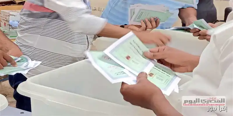 بدء فترة الصمت الانتخابي لجولة الإعادة في انتخابات الشيوخ 2025: ماذا يعني ذلك للناخبين؟