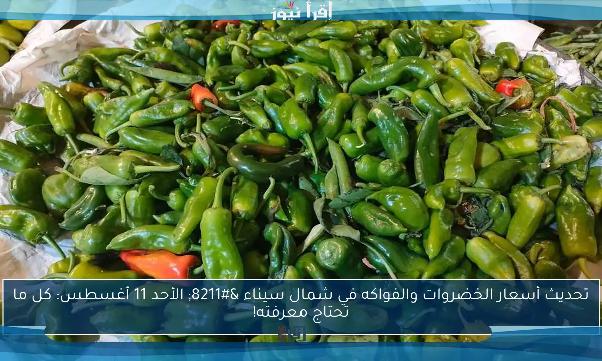 تحديث أسعار الخضروات والفواكه في شمال سيناء – الأحد 11 أغسطس: كل ما تحتاج معرفته!