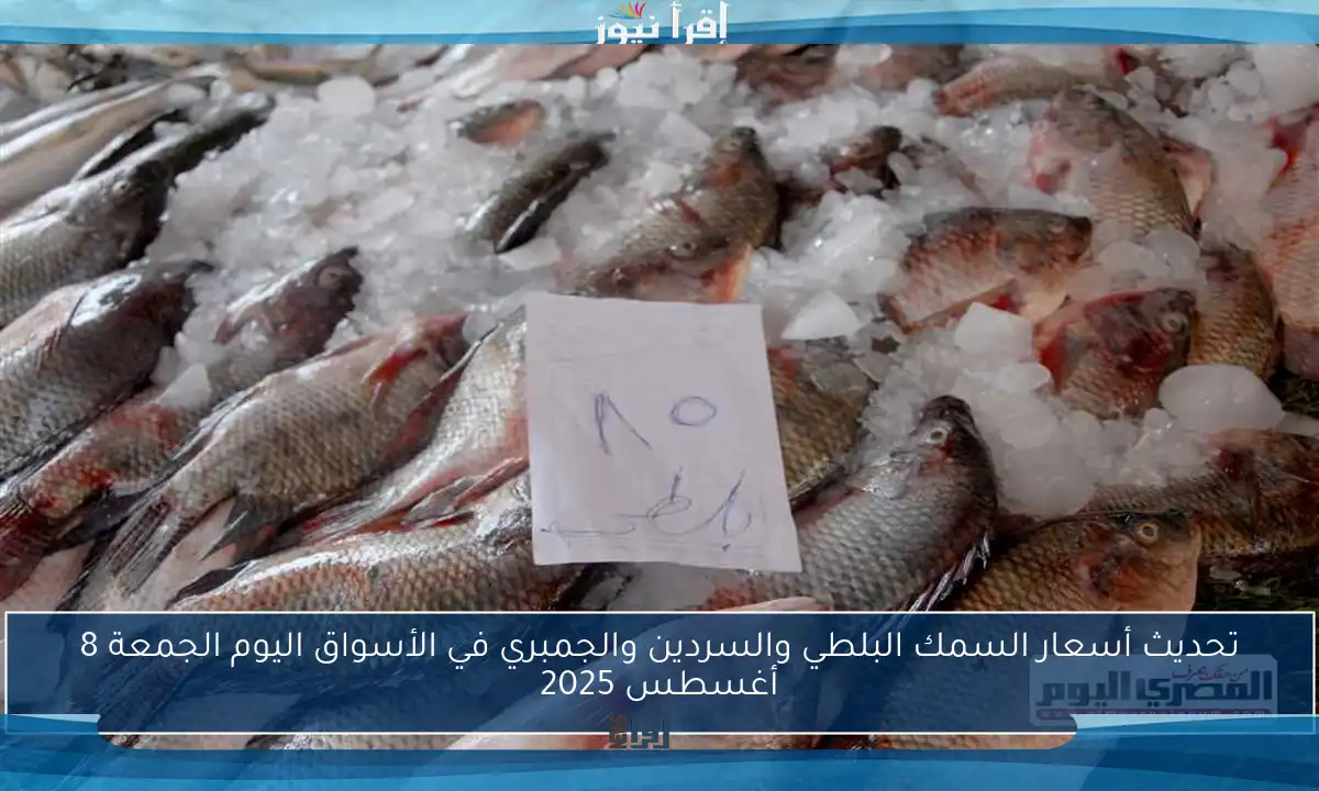 تحديث أسعار السمك البلطي والسردين والجمبري في الأسواق اليوم الجمعة 8 أغسطس 2025