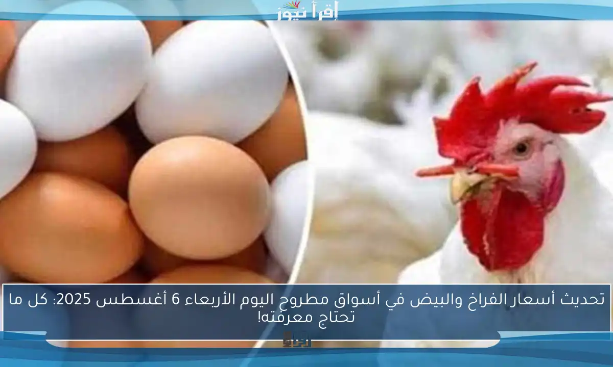 تحديث أسعار الفراخ والبيض في أسواق مطروح اليوم الأربعاء 6 أغسطس 2025: كل ما تحتاج معرفته!