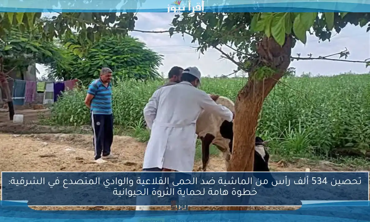 تحصين 534 ألف رأس من الماشية ضد الحمى القلاعية والوادي المتصدع في الشرقية: خطوة هامة لحماية الثروة الحيوانية