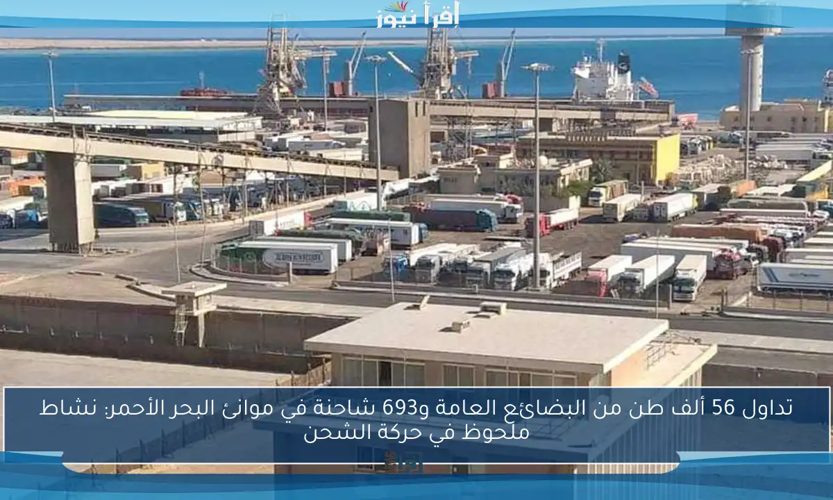 تداول 56 ألف طن من البضائع العامة و693 شاحنة في موانئ البحر الأحمر: نشاط ملحوظ في حركة الشحن
