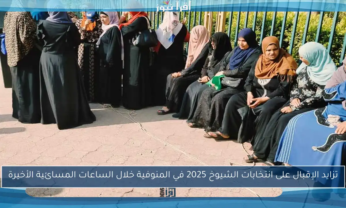 تزايد الإقبال على انتخابات الشيوخ 2025 في المنوفية خلال الساعات المسائية الأخيرة