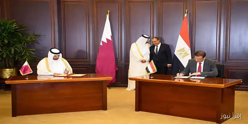 <p><strong>تعاون مصري قطري مثمر في مجالات الزراعة والأمن الغذائي: شراكة استراتيجية تعزز العلاقات بين البلدين</strong></p>