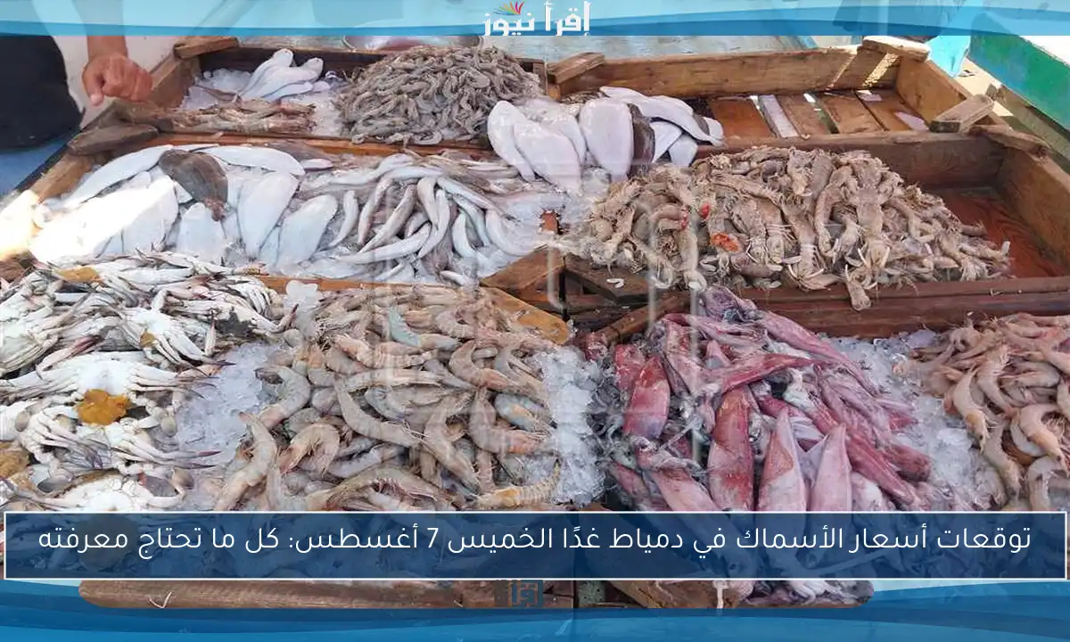 توقعات أسعار الأسماك في دمياط غدًا الخميس 7 أغسطس: كل ما تحتاج معرفته
