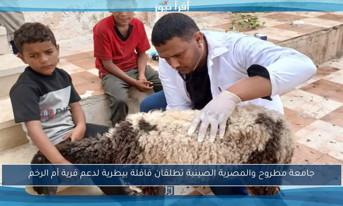 جامعة مطروح والمصرية الصينية تطلقان قافلة بيطرية لدعم قرية أم الرخم