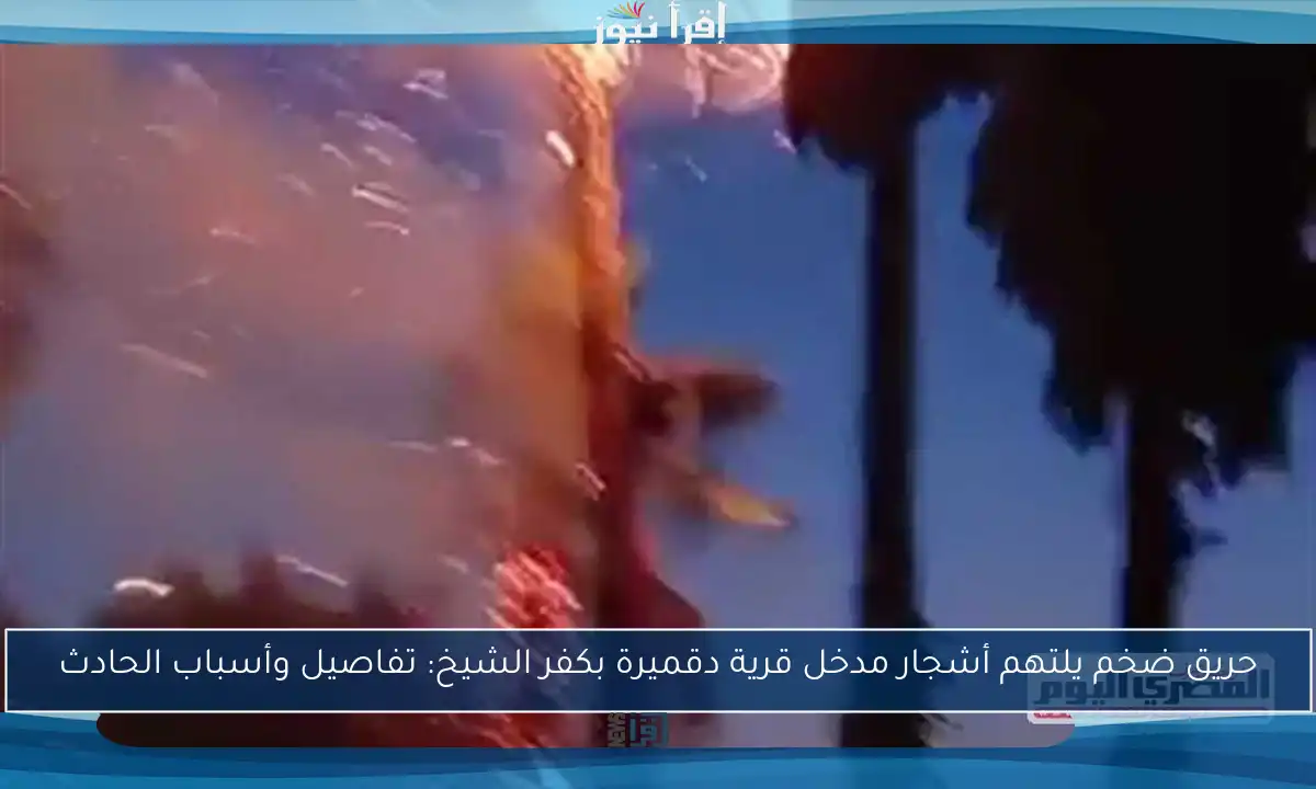 حريق ضخم يلتهم أشجار مدخل قرية دقميرة بكفر الشيخ: تفاصيل وأسباب الحادث